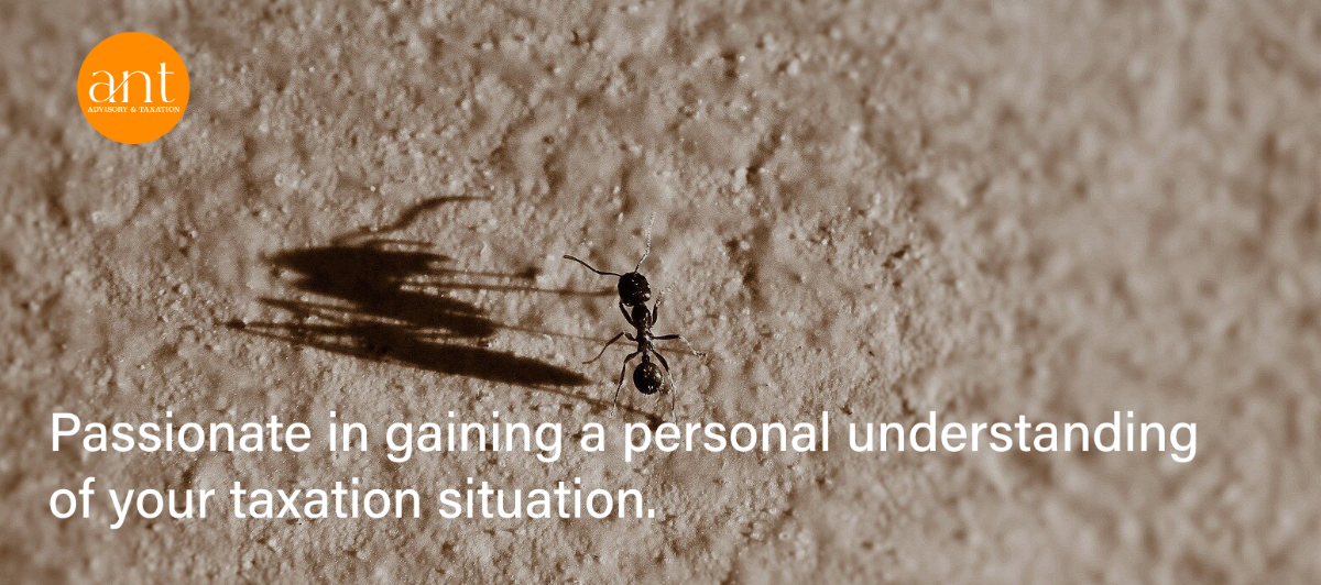 ANT Advisory and Taxation