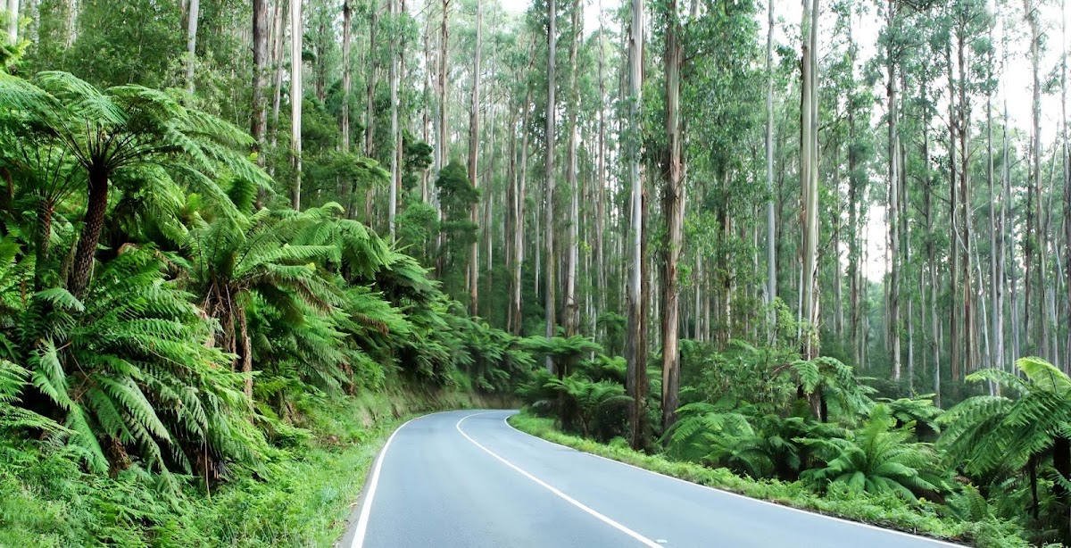 any road Super - SMSF - Sunshine Coast - Caloundra - superannuation accountants