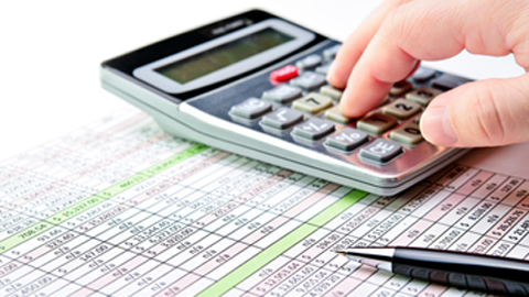 BICANIC INCOME TAX SERVICES