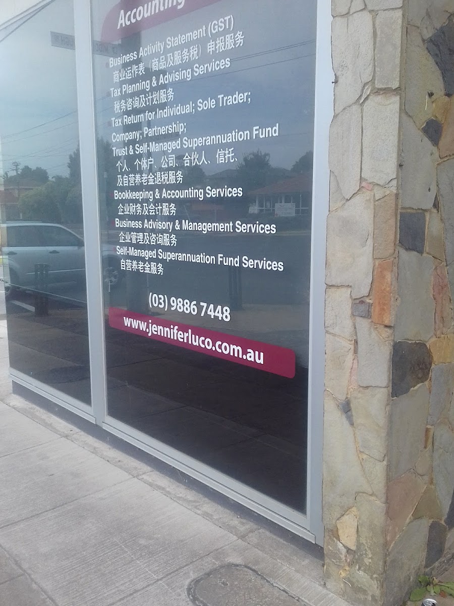 Chartered Accountant Finance Advisor