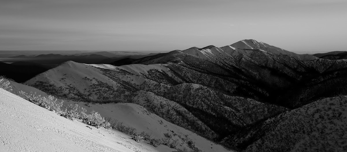 Feathertop Business Services