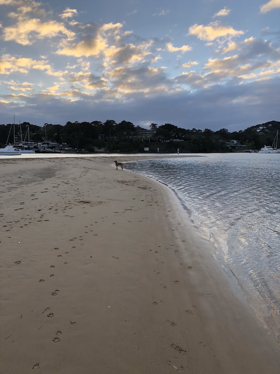 Northern Beaches Advisory