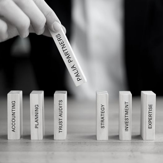 Palia Partners | Chartered Accountants