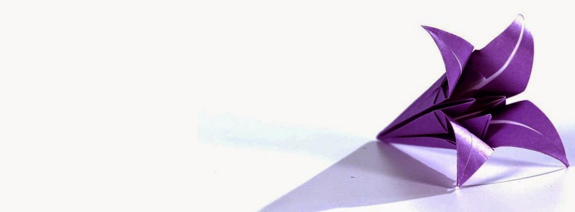 Signor Chartered Accountants