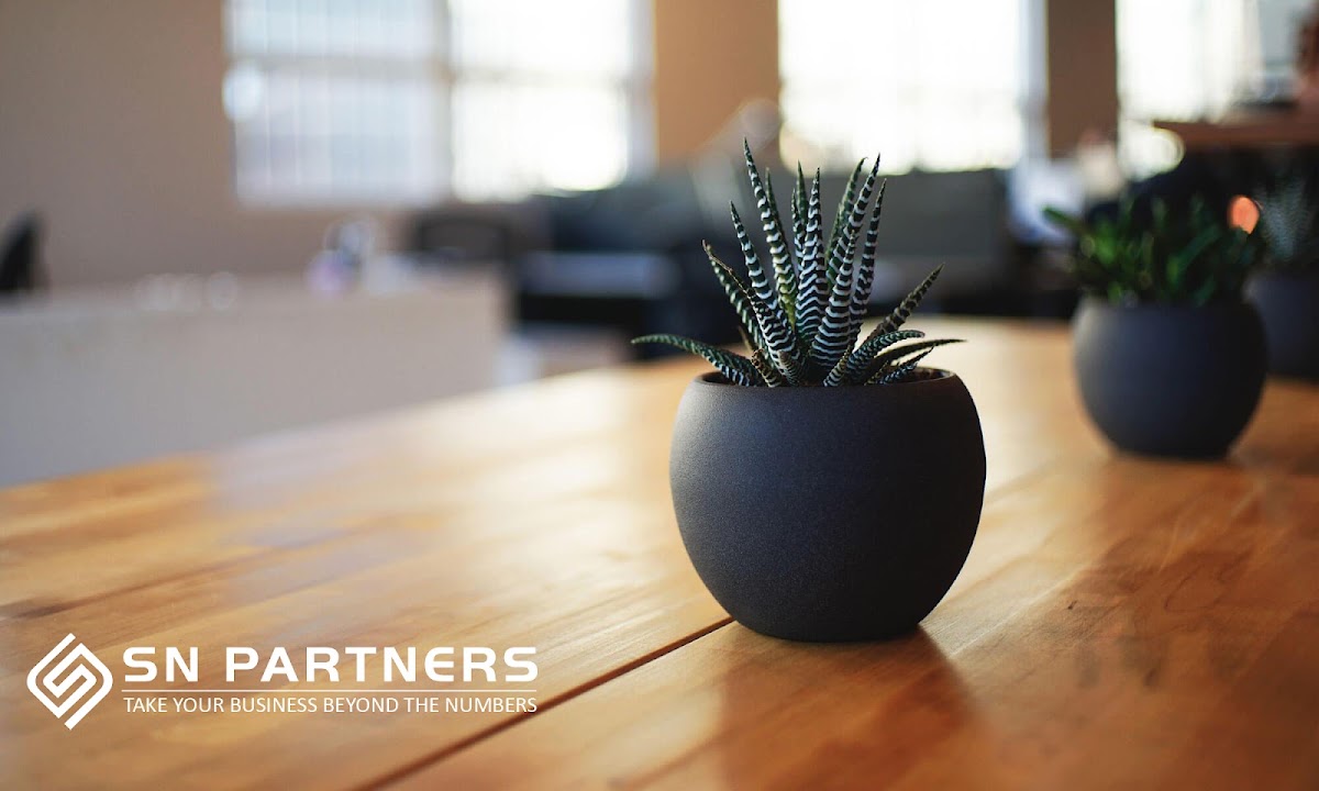 SN Partners Accountants & Business Advisors