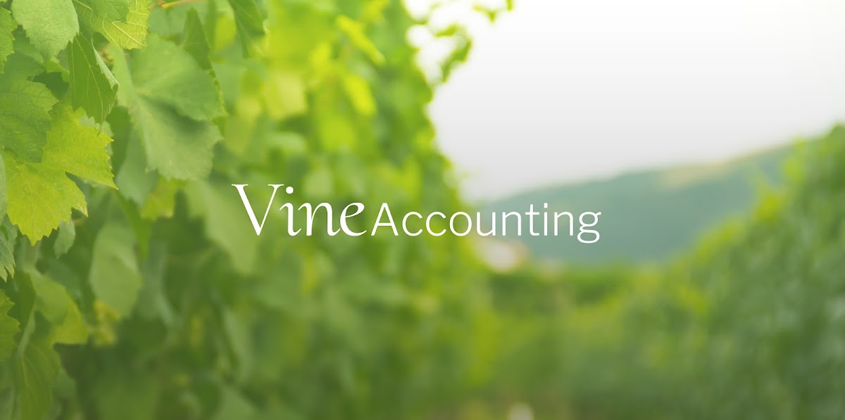 Vine Accounting