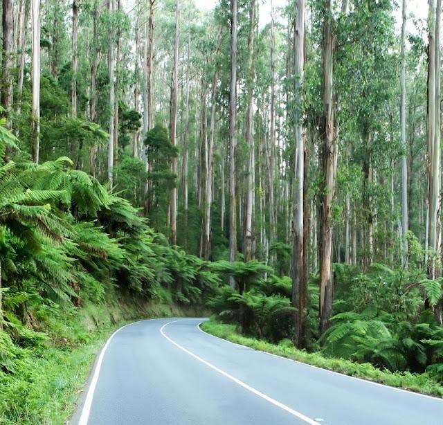 any road Super - SMSF - Sunshine Coast - Caloundra - superannuation accountants