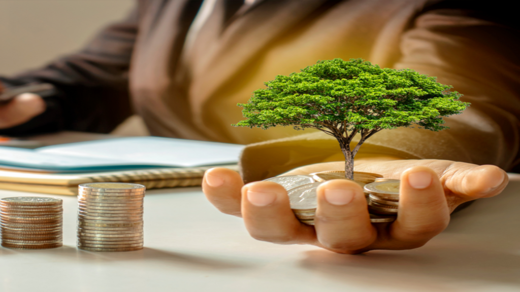 Bahri Taxation