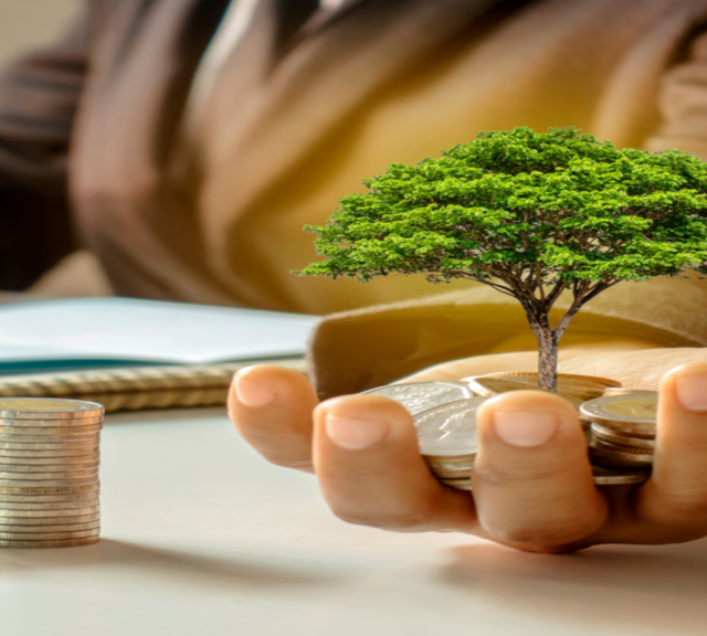 Bahri Taxation
