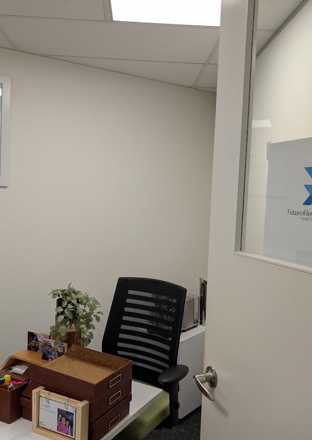 FutureFlow Financial Advice