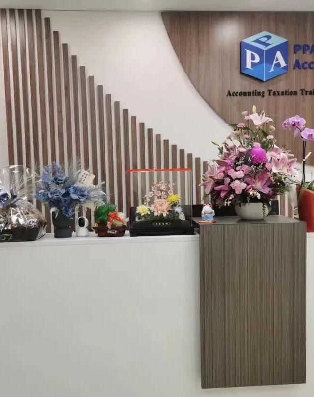 PPA Accountants Group Pty Ltd