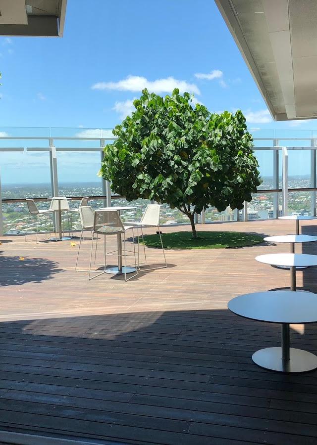 Tax NextGen - Tax Accountant in Brisbane